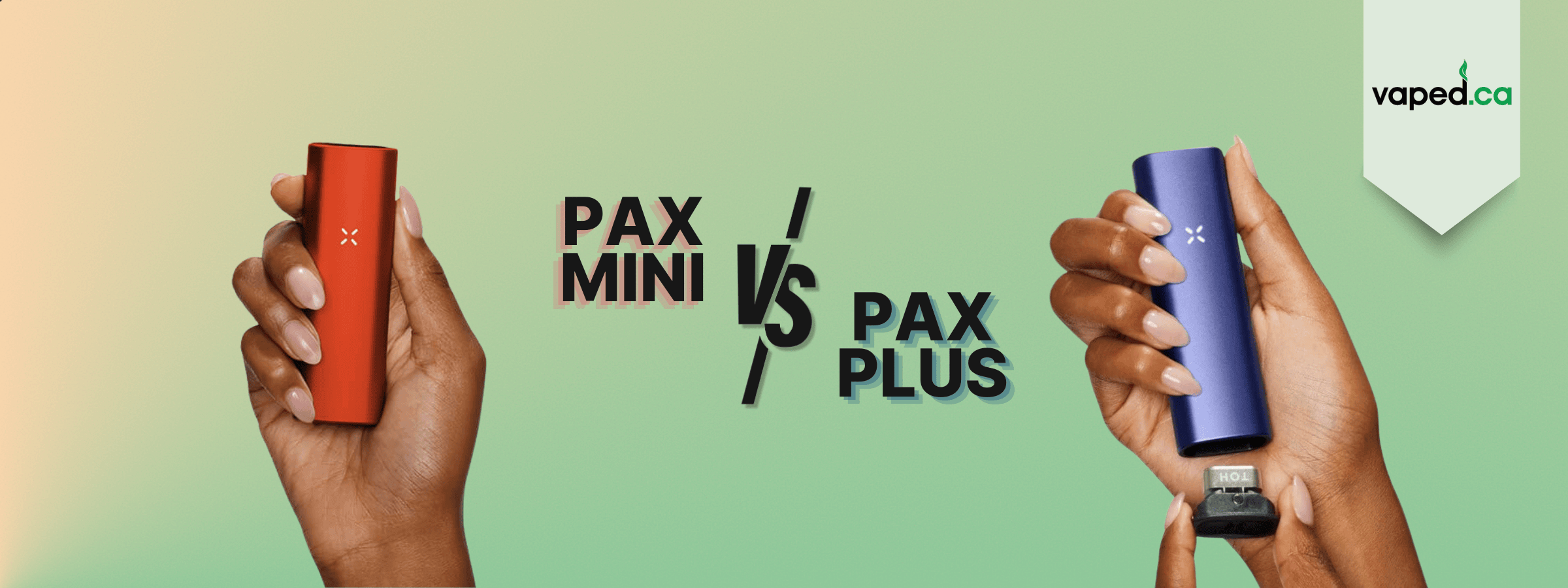 PAX Plus vs PAX Mini: What's the Difference?