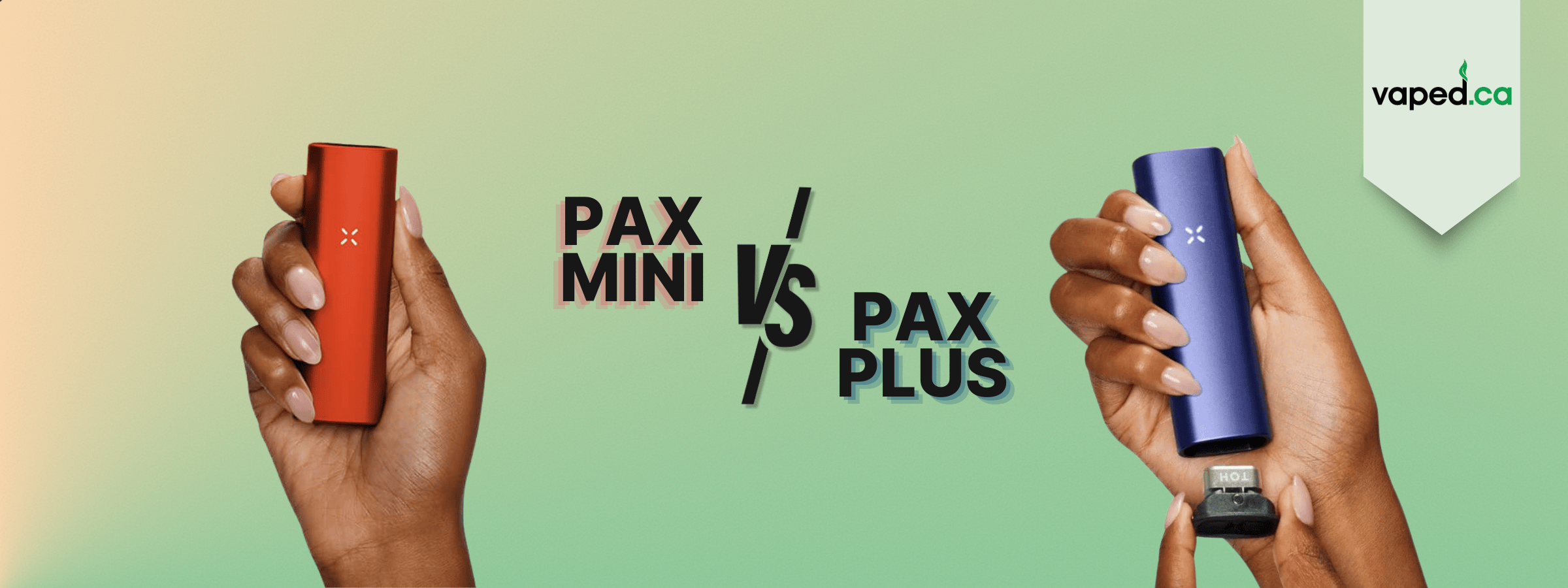 PAX Plus vs PAX Mini: What’s the Difference?